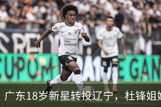 广东18岁新星转投辽宁，杜锋姐姐当选篮协副会长，2后卫试训新疆，广厦外援接受归化